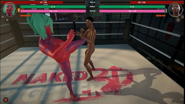 Naked fighter 3d