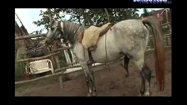 Horse gag porn - Xvideos Buceta