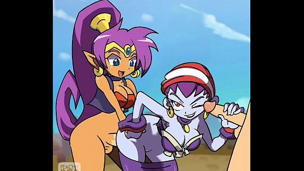 Shantae half genie hero