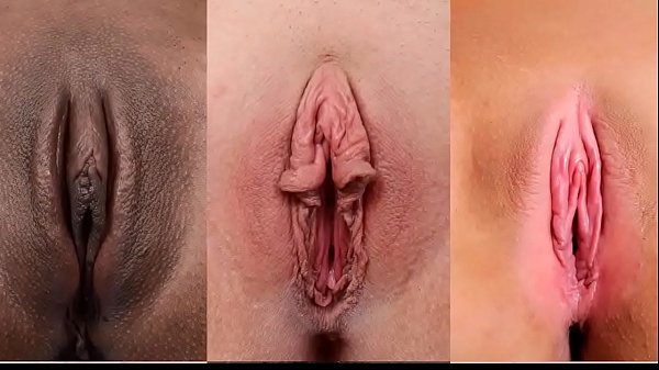 Black vagina