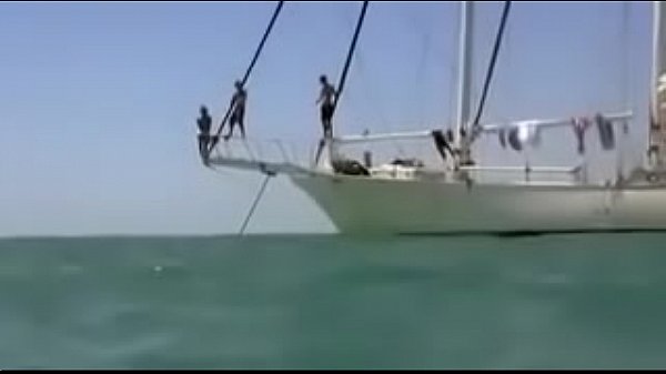 Pânico em alto mar 2 filme completo dublado