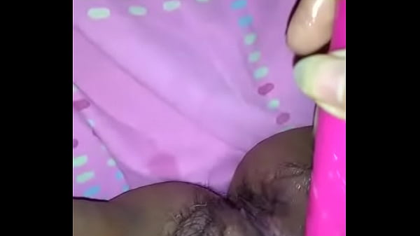 Velha novilha