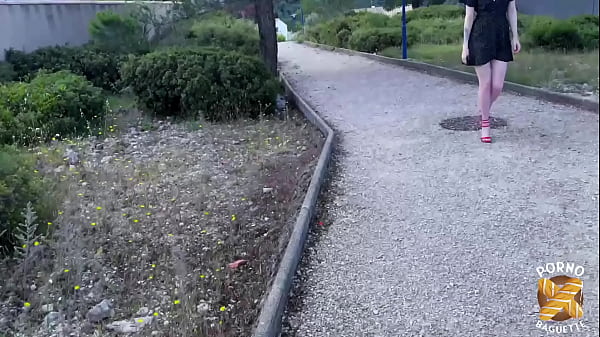 临时执政府 实业厅 十年建设规划