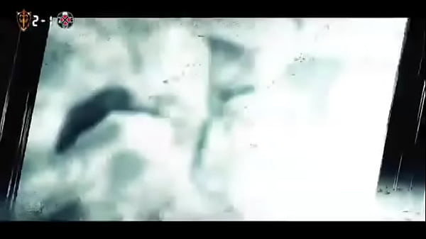 EUCALYPTUS.PNG