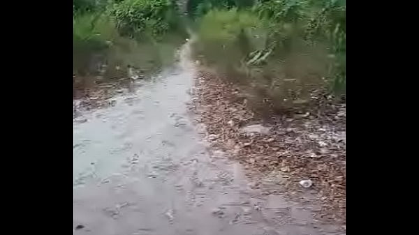 Feriado em Manaus